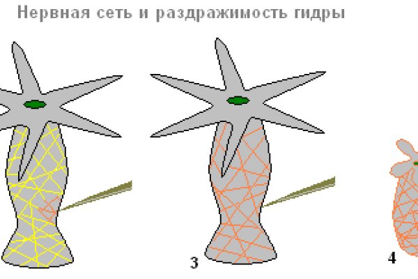 Магазин кракен как попасть